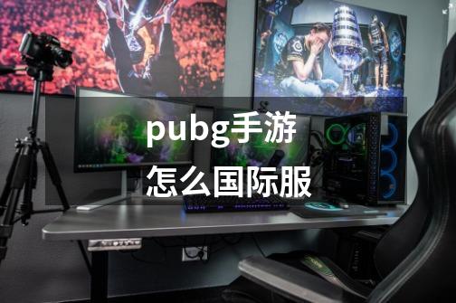 pubg手游怎么国际服-第1张-游戏资讯-一震网