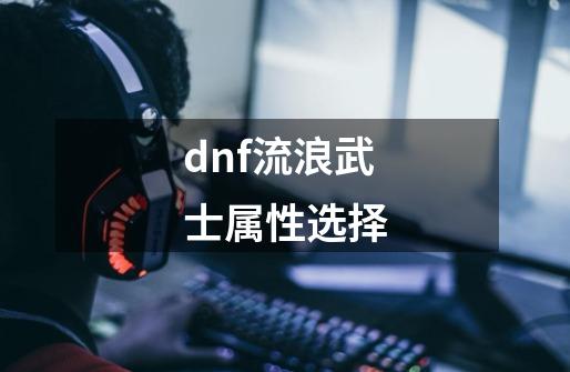 dnf流浪武士属性选择-第1张-游戏资讯-一震网