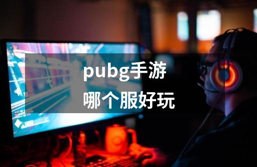 pubg手游哪个服好玩-第1张-游戏资讯-一震网