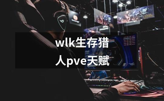 wlk生存猎人pve天赋-第1张-游戏资讯-一震网