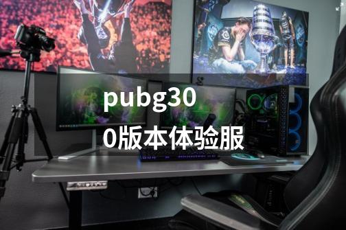 pubg300版本体验服-第1张-游戏资讯-一震网