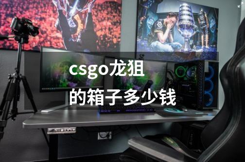 csgo龙狙的箱子多少钱-第1张-游戏资讯-一震网