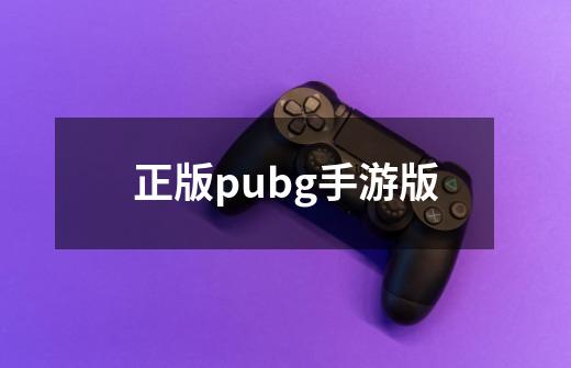 正版pubg手游版-第1张-游戏资讯-一震网