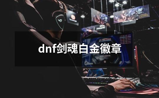 dnf剑魂白金徽章-第1张-游戏资讯-一震网