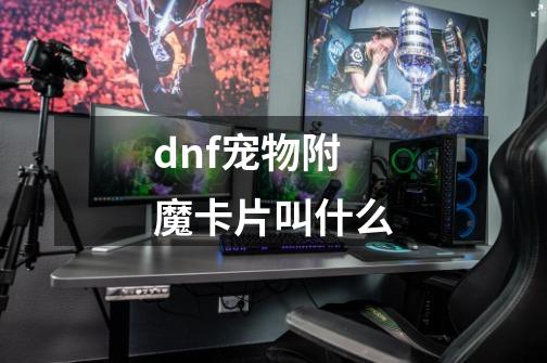 dnf宠物附魔卡片叫什么-第1张-游戏资讯-一震网