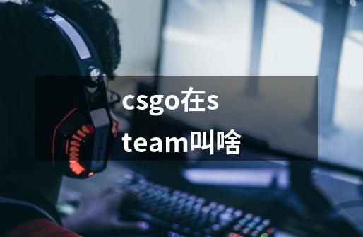 csgo在steam叫啥-第1张-游戏资讯-一震网