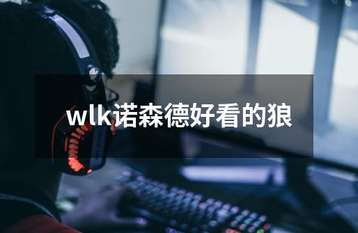 wlk诺森德好看的狼-第1张-游戏资讯-一震网