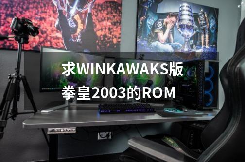 求WINKAWAKS版拳皇2003的ROM-第1张-游戏资讯-一震网