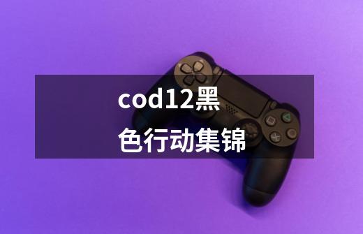 cod12黑色行动集锦-第1张-游戏资讯-一震网