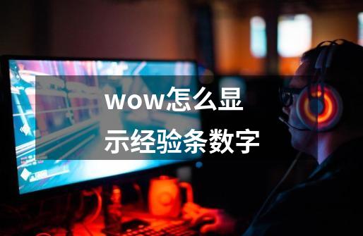 wow怎么显示经验条数字-第1张-游戏资讯-一震网