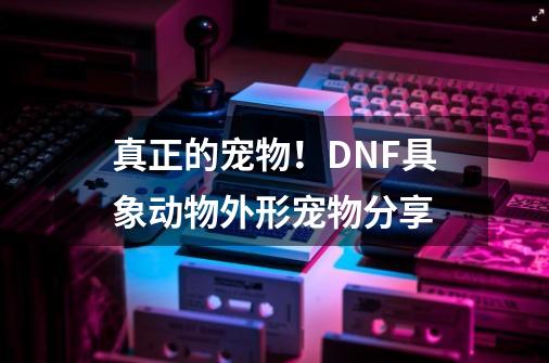 真正的宠物！DNF具象动物外形宠物分享-第1张-游戏资讯-一震网