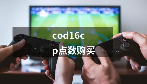 cod16cp点数购买-第1张-游戏资讯-一震网