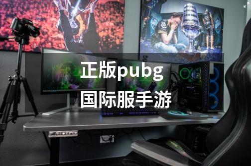 正版pubg国际服手游-第1张-游戏资讯-一震网