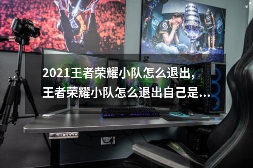 2021王者荣耀小队怎么退出?,王者荣耀小队怎么退出自己是队长-第1张-游戏资讯-一震网