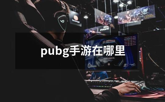 pubg手游在哪里-第1张-游戏资讯-一震网