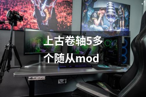 上古卷轴5多个随从mod-第1张-游戏资讯-一震网