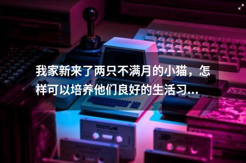 我家新来了两只不满月的小猫，怎样可以培养他们良好的生活习惯？,猫猫的培养攻略教程-第1张-游戏资讯-一震网