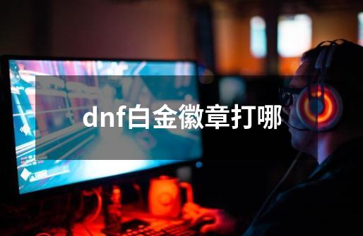 dnf白金徽章打哪-第1张-游戏资讯-一震网