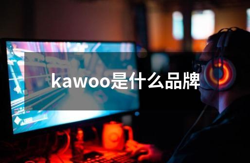 kawoo是什么品牌-第1张-游戏资讯-一震网