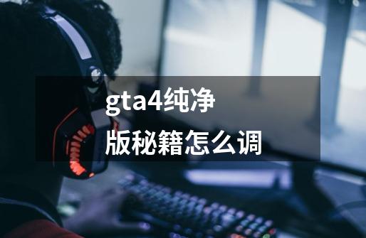 gta4纯净版秘籍怎么调-第1张-游戏资讯-一震网