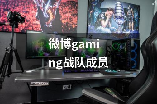 微博gaming战队成员-第1张-游戏资讯-一震网