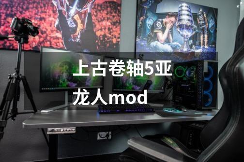 上古卷轴5亚龙人mod-第1张-游戏资讯-一震网