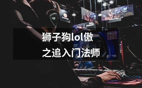 狮子狗lol傲之追入门法师-第1张-游戏资讯-一震网