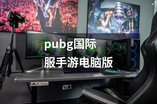 pubg国际服手游电脑版-第1张-游戏资讯-一震网