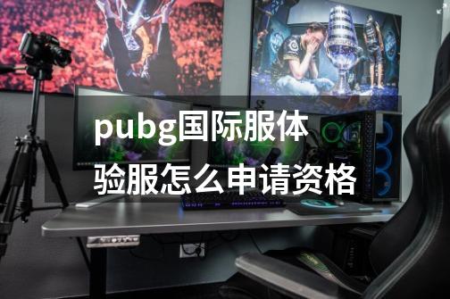 pubg国际服体验服怎么申请资格-第1张-游戏资讯-一震网