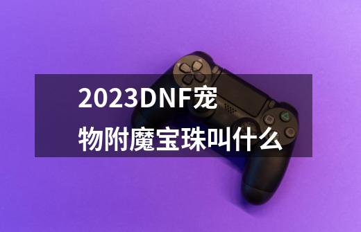 2023DNF宠物附魔宝珠叫什么-第1张-游戏资讯-一震网