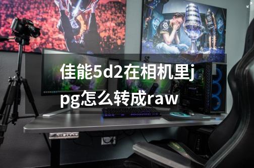 佳能5d2在相机里jpg怎么转成raw-第1张-游戏资讯-一震网