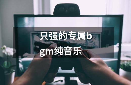 只强的专属bgm纯音乐-第1张-游戏资讯-一震网