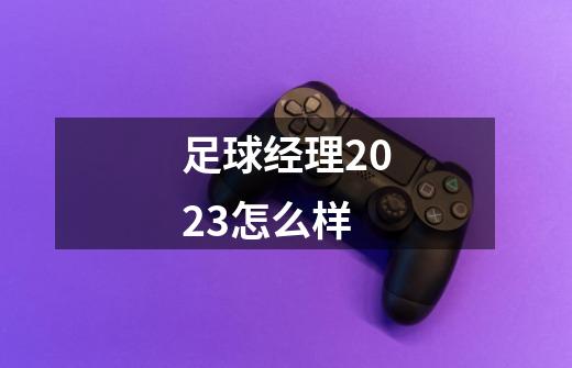 足球经理2023怎么样-第1张-游戏资讯-一震网