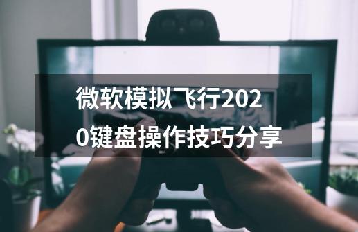 微软模拟飞行2020键盘操作技巧分享-第1张-游戏资讯-一震网