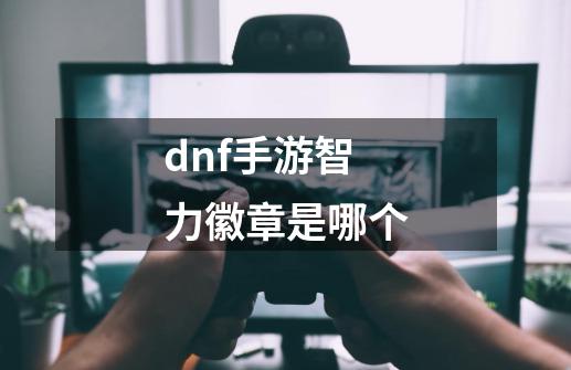 dnf手游智力徽章是哪个-第1张-游戏资讯-一震网