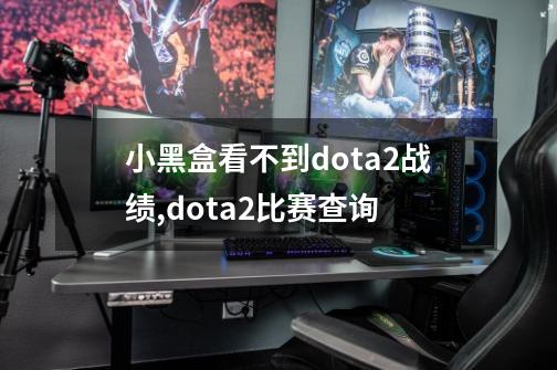 小黑盒看不到dota2战绩,dota2比赛查询-第1张-游戏资讯-一震网