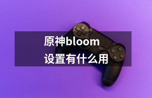 原神bloom设置有什么用-第1张-游戏资讯-一震网