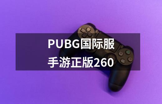 PUBG国际服手游正版260-第1张-游戏资讯-一震网