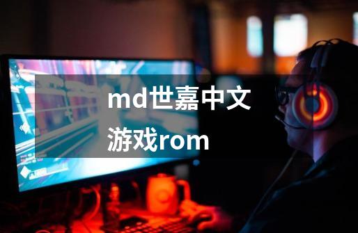 md世嘉中文游戏rom-第1张-游戏资讯-一震网