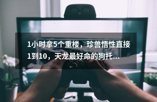 1小时拿5个重楼，珍兽悟性直接1到10，天龙最好命的狗托今何在？-第1张-游戏资讯-一震网