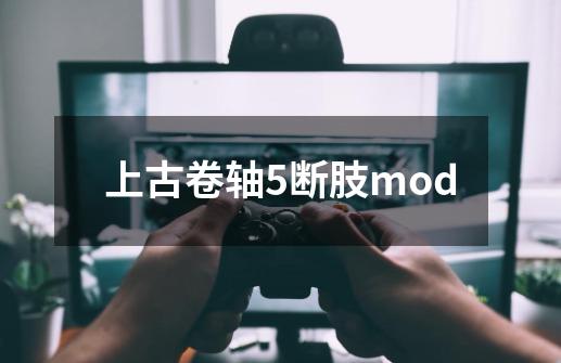 上古卷轴5断肢mod-第1张-游戏资讯-一震网