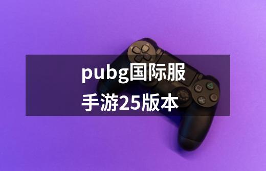 pubg国际服手游25版本-第1张-游戏资讯-一震网