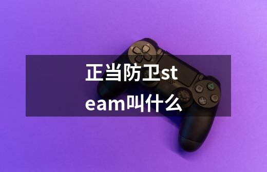 正当防卫steam叫什么-第1张-游戏资讯-一震网