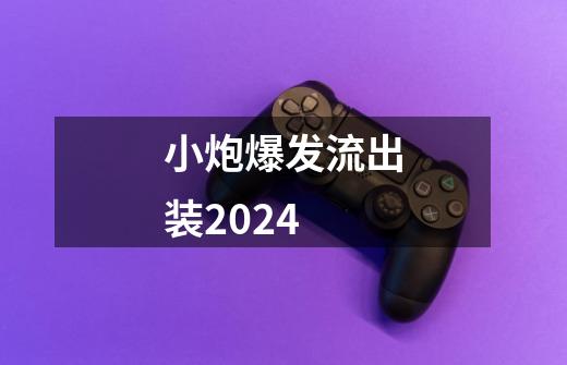 小炮爆发流出装2024-第1张-游戏资讯-一震网