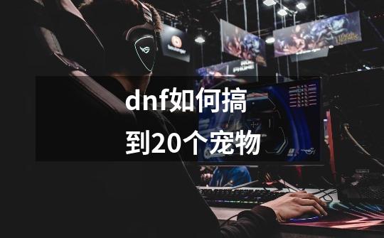 dnf如何搞到20个宠物-第1张-游戏资讯-一震网