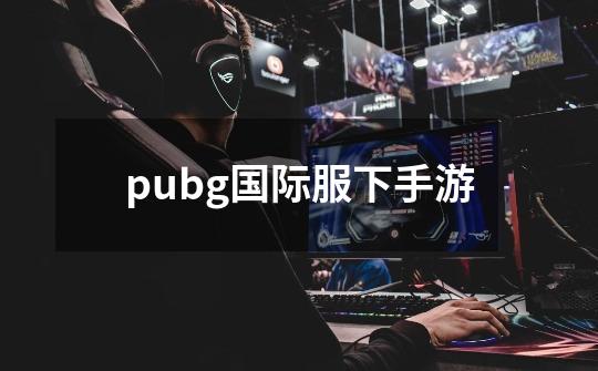 pubg国际服下手游-第1张-游戏资讯-一震网