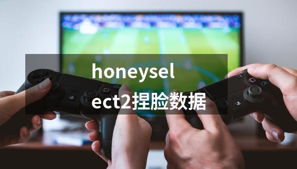 honeyselect2捏脸数据-第1张-游戏资讯-一震网