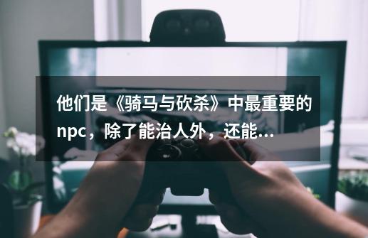 他们是《骑马与砍杀》中最重要的npc，除了能治人外，还能医马-第1张-游戏资讯-一震网