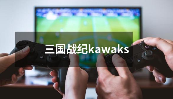 三国战纪kawaks-第1张-游戏资讯-一震网