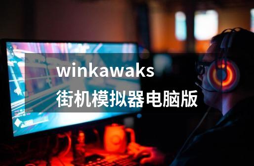 winkawaks街机模拟器电脑版-第1张-游戏资讯-一震网